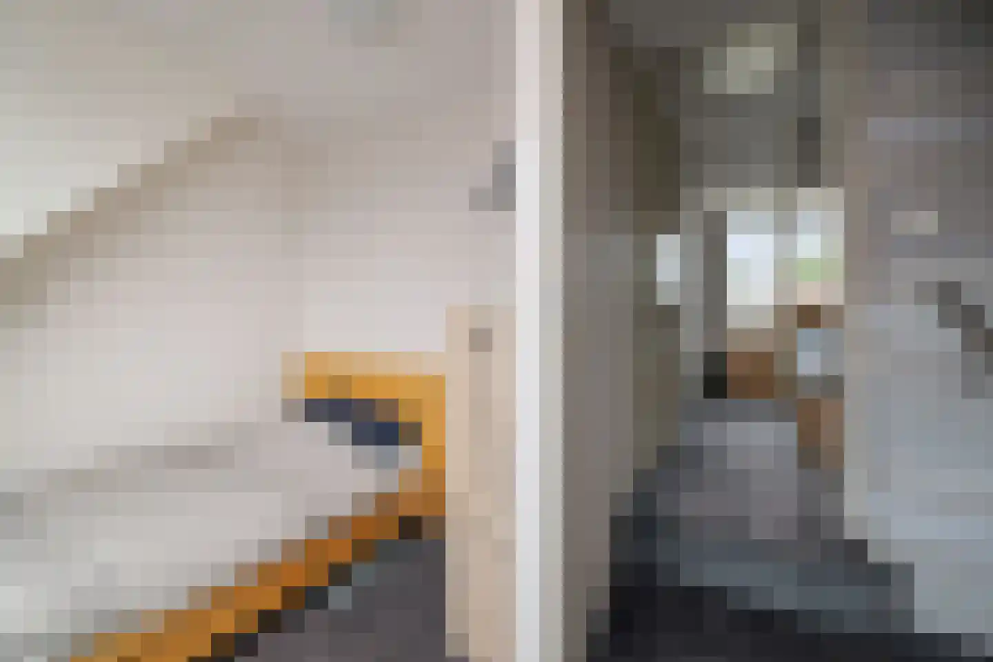 Dorpsstraat 22 Wilp thumbnail 20