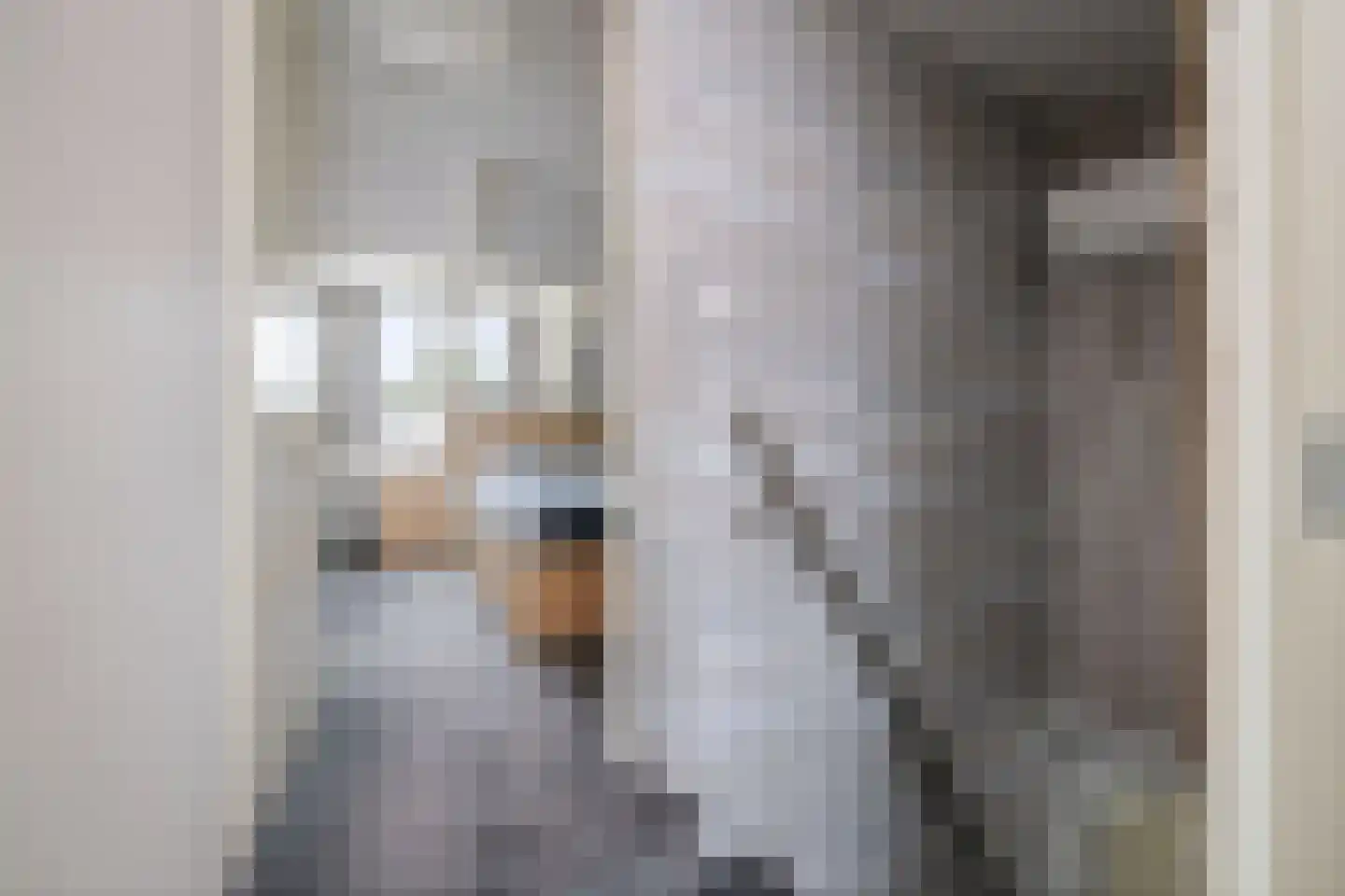 Dorpsstraat 22 Wilp thumbnail 21