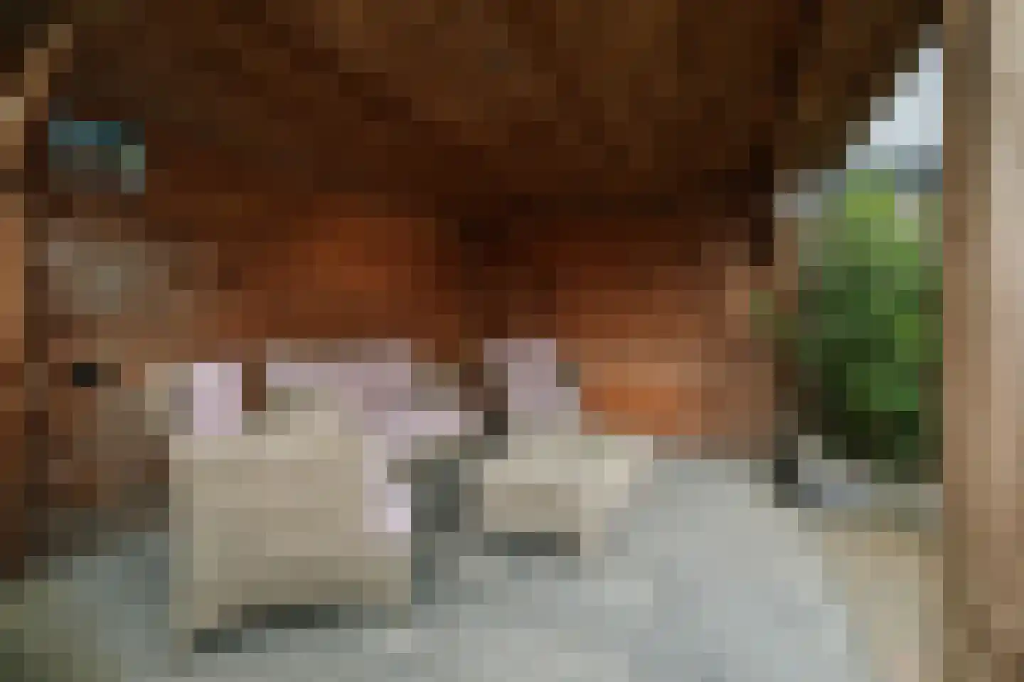 Dorpsstraat 22 Wilp thumbnail 27