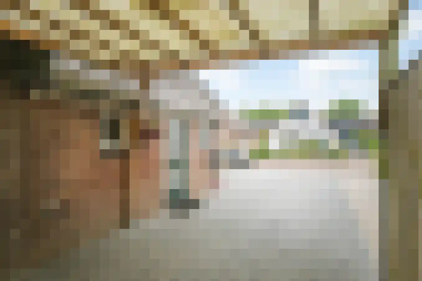 Dorpsstraat 22 Wilp thumbnail 30