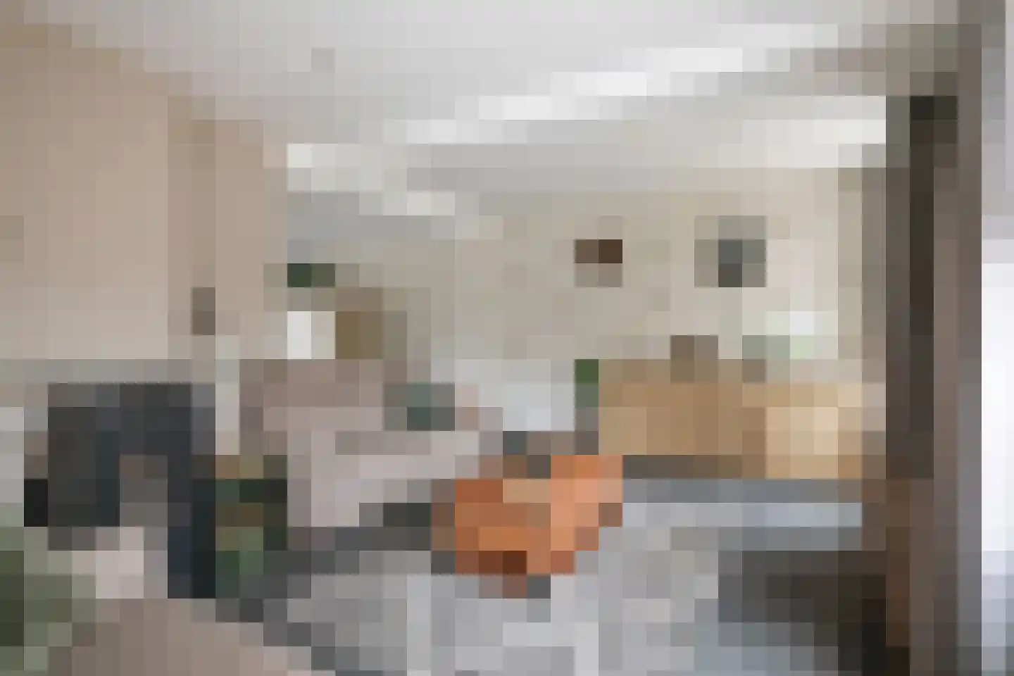 Dorpsstraat 22 Wilp thumbnail 4