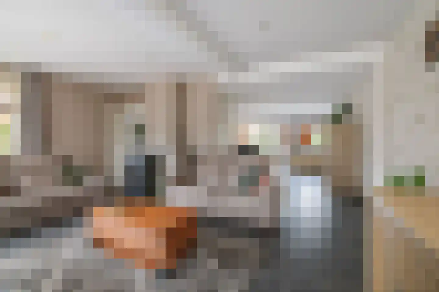 Dorpsstraat 22 Wilp thumbnail 5