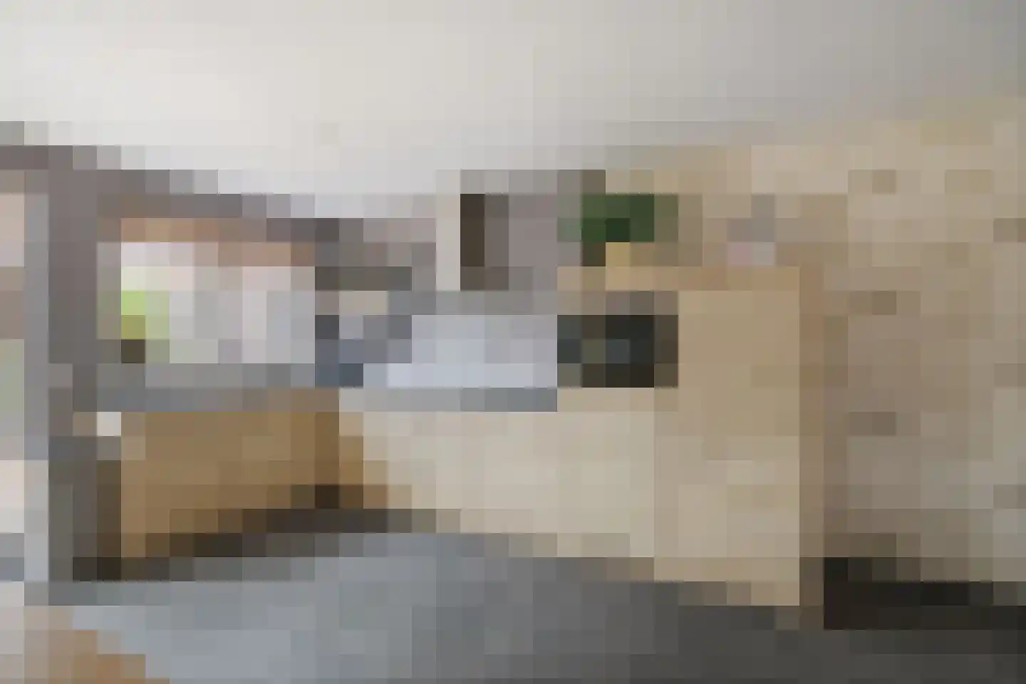 Dorpsstraat 22 Wilp thumbnail 7