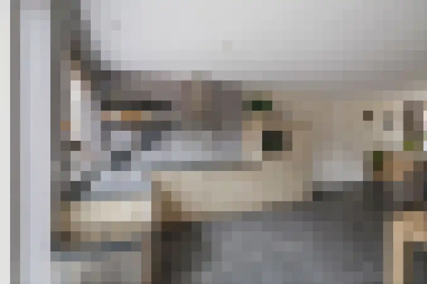 Dorpsstraat 22 Wilp thumbnail 8