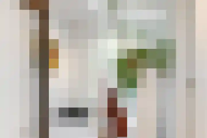 Dorpsstraat 22 Zwaag thumbnail 25