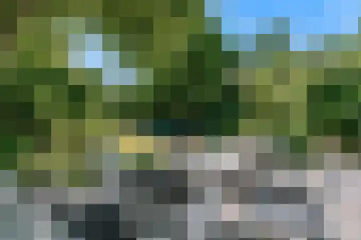Dorpsstraat 22 Zwaag thumbnail 43