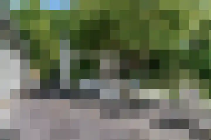 Dorpsstraat 22 Zwaag thumbnail 44