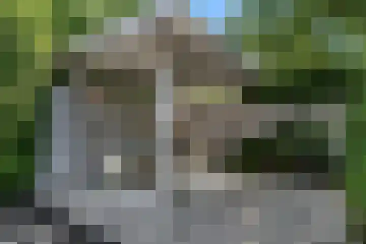 Dorpsstraat 22 Zwaag thumbnail 45
