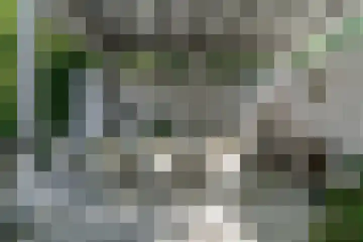 Dorpsstraat 22 Zwaag thumbnail 46