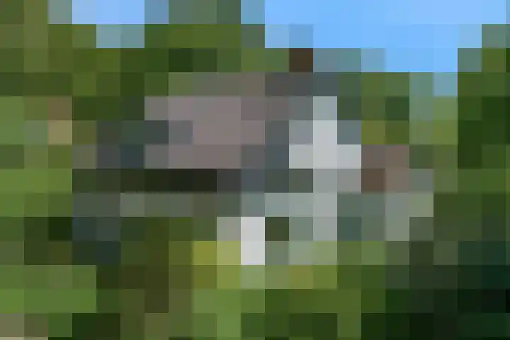 Dorpsstraat 22 Zwaag thumbnail 56
