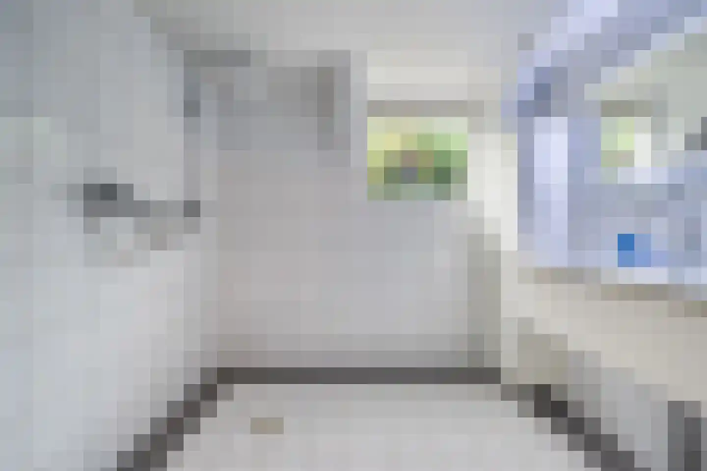 Dorpsstraat 222 Assendelft thumbnail 14