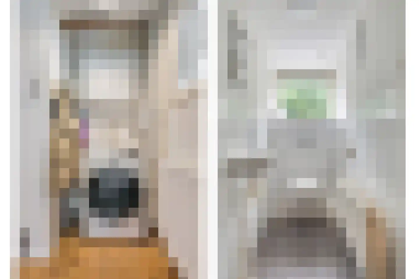 Dorpsstraat 222 Assendelft thumbnail 16