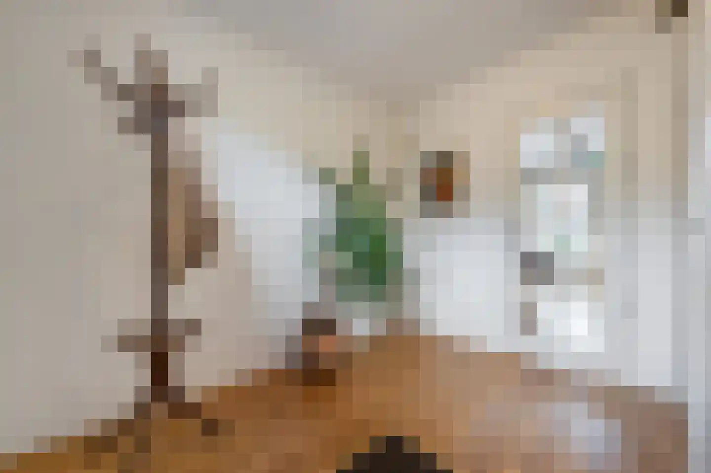 Dorpsstraat 222 Assendelft thumbnail 17