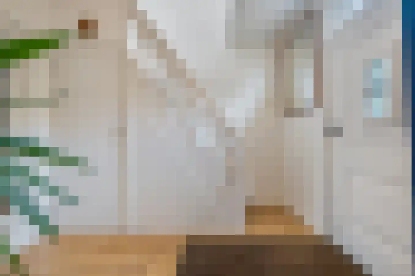 Dorpsstraat 222 Assendelft thumbnail 18