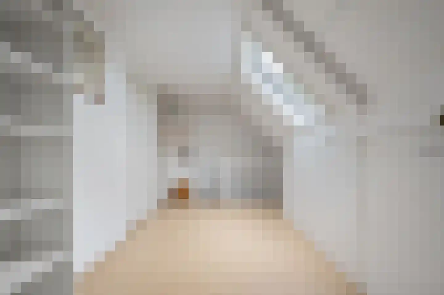 Dorpsstraat 222 Assendelft thumbnail 19