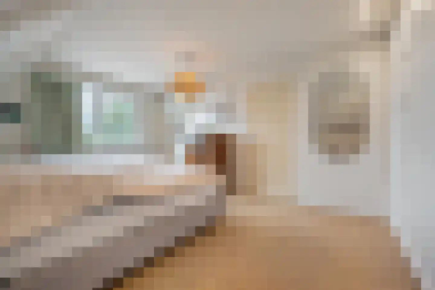 Dorpsstraat 222 Assendelft thumbnail 21