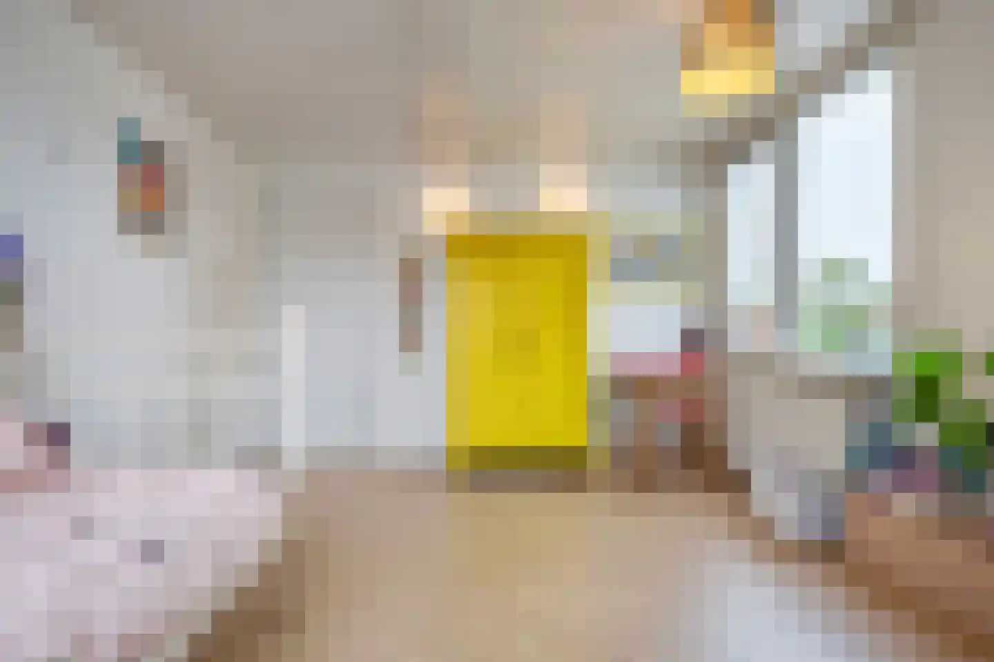 Dorpsstraat 222 Assendelft thumbnail 24