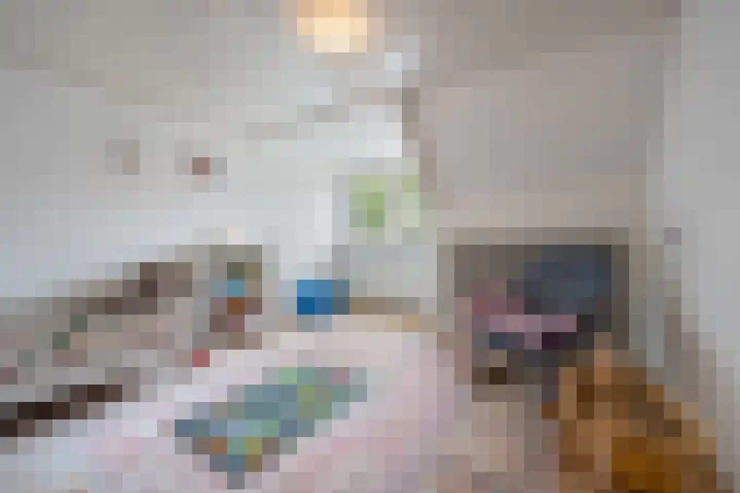 Dorpsstraat 222 Assendelft thumbnail 25