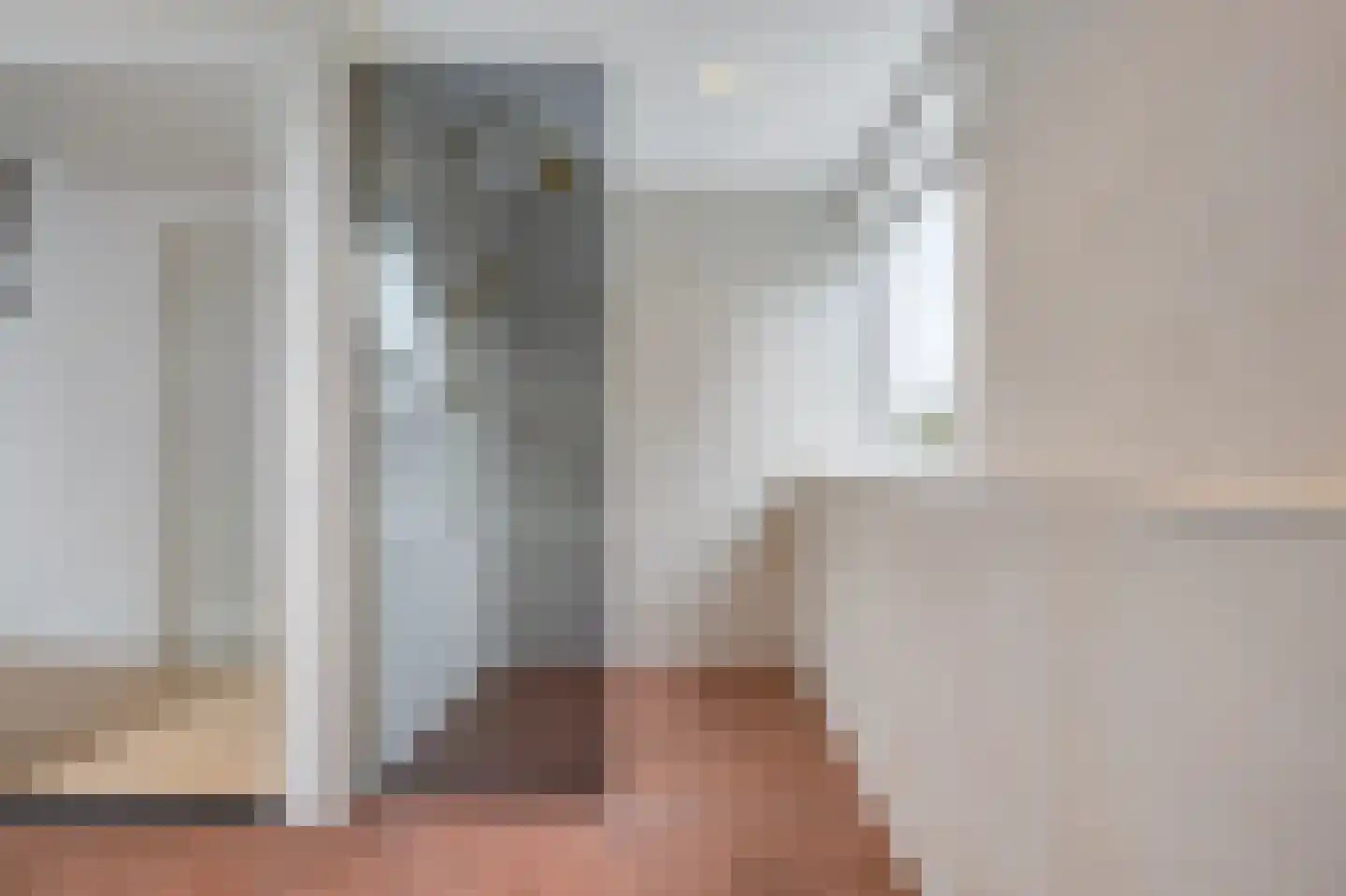 Dorpsstraat 222 Assendelft thumbnail 31
