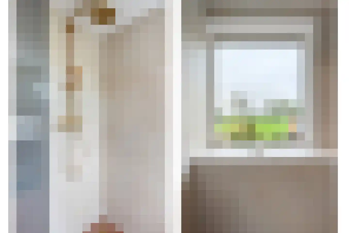 Dorpsstraat 222 Assendelft thumbnail 32