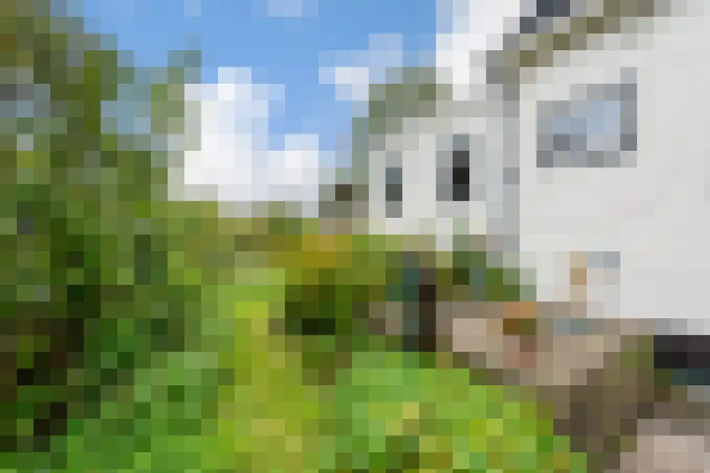 Dorpsstraat 222 Assendelft thumbnail 34