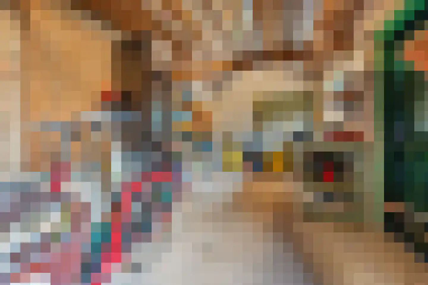 Dorpsstraat 222 Assendelft thumbnail 38