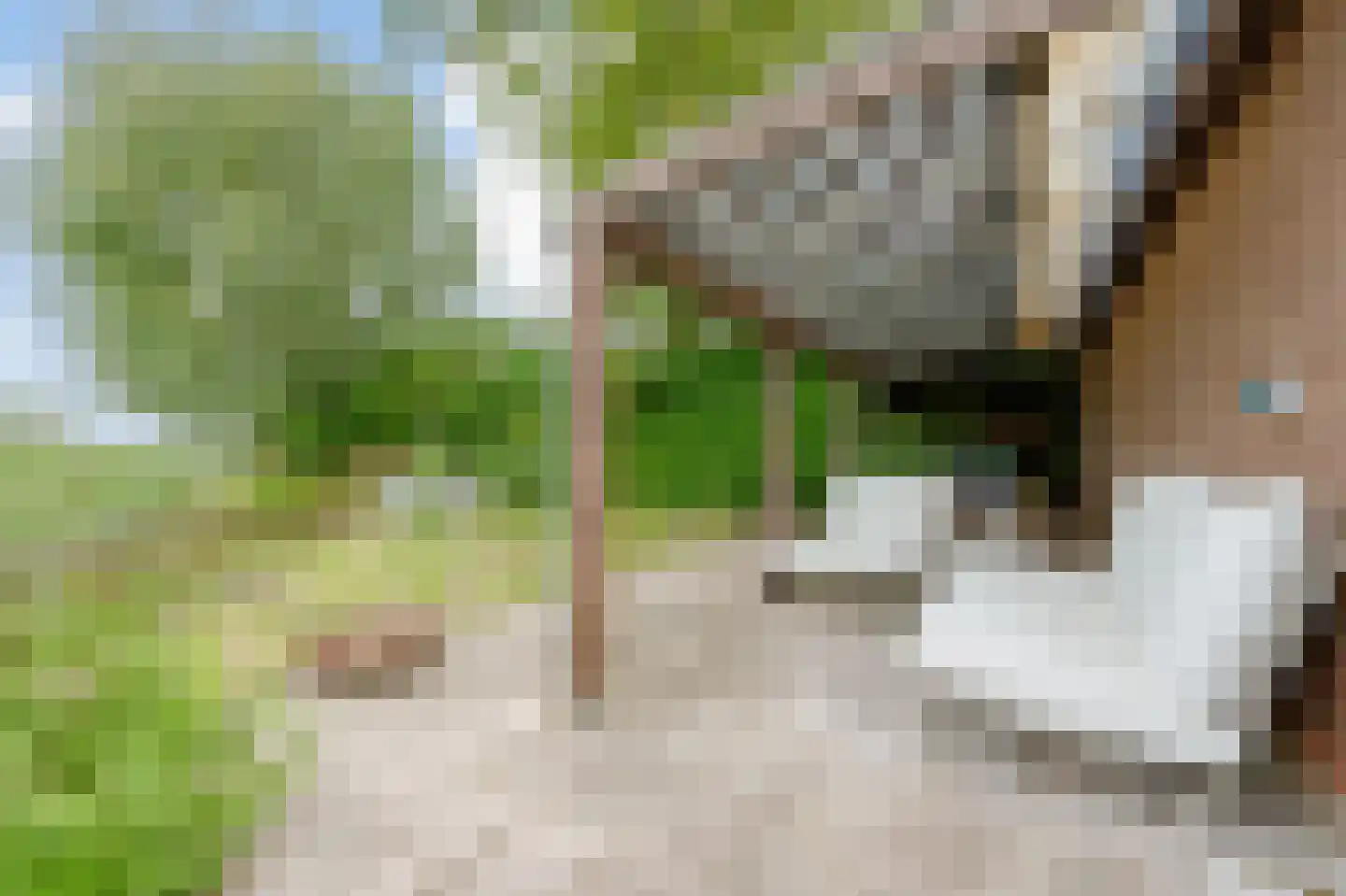 Dorpsstraat 222 Assendelft thumbnail 40
