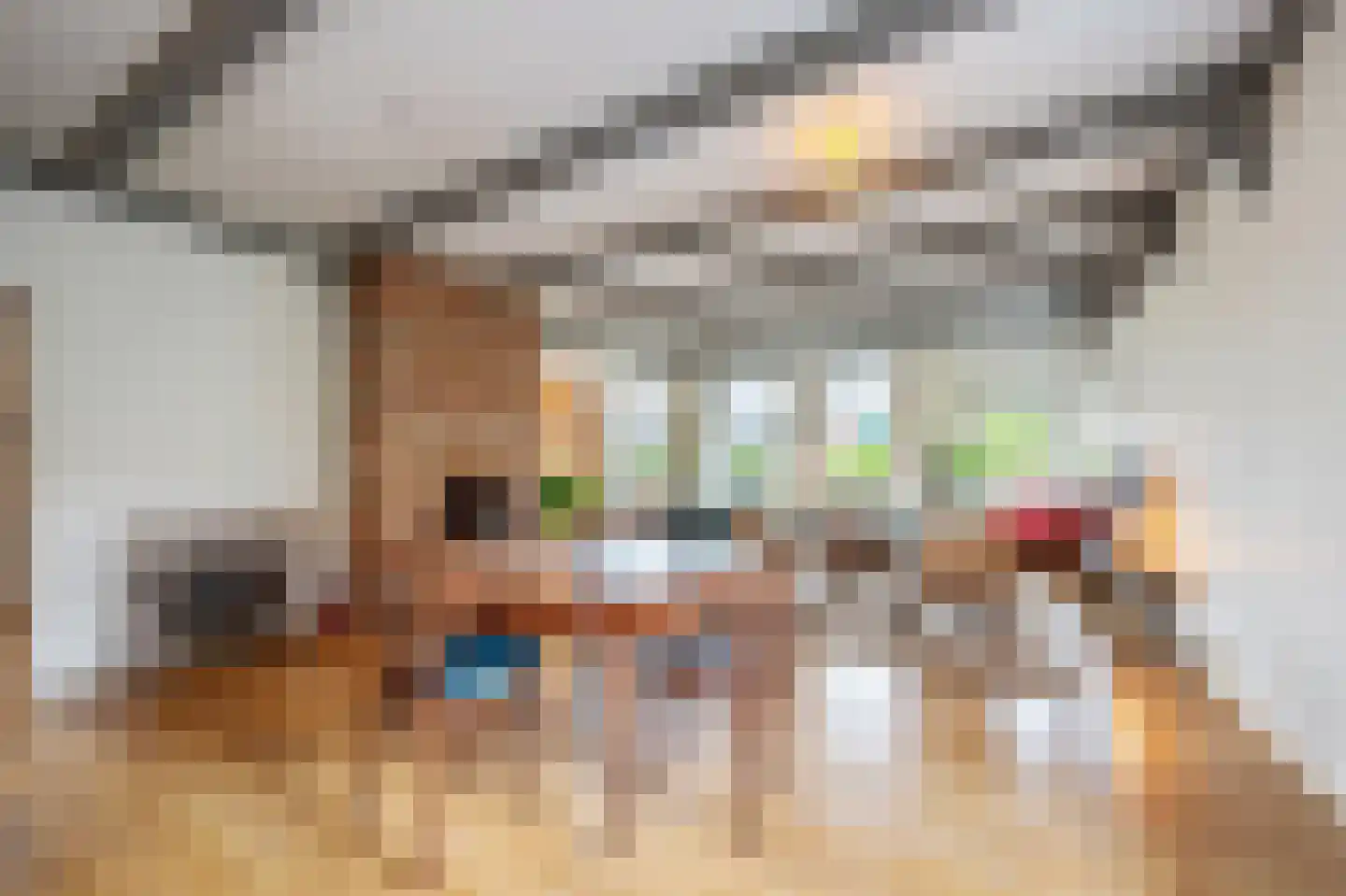 Dorpsstraat 222 Assendelft thumbnail 5