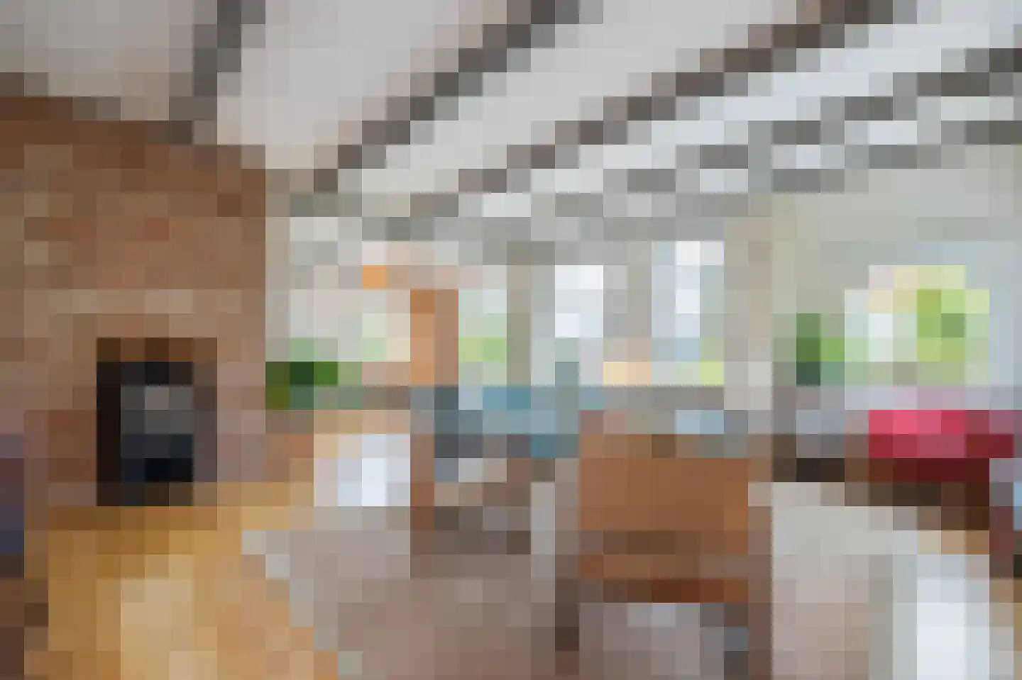 Dorpsstraat 222 Assendelft thumbnail 6