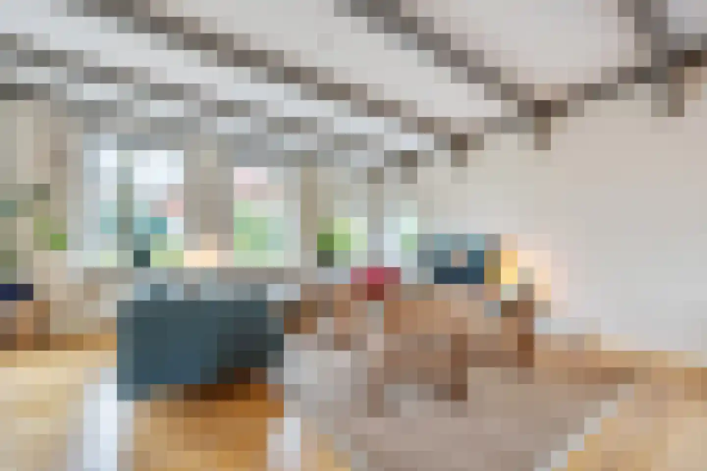 Dorpsstraat 222 Assendelft thumbnail 7