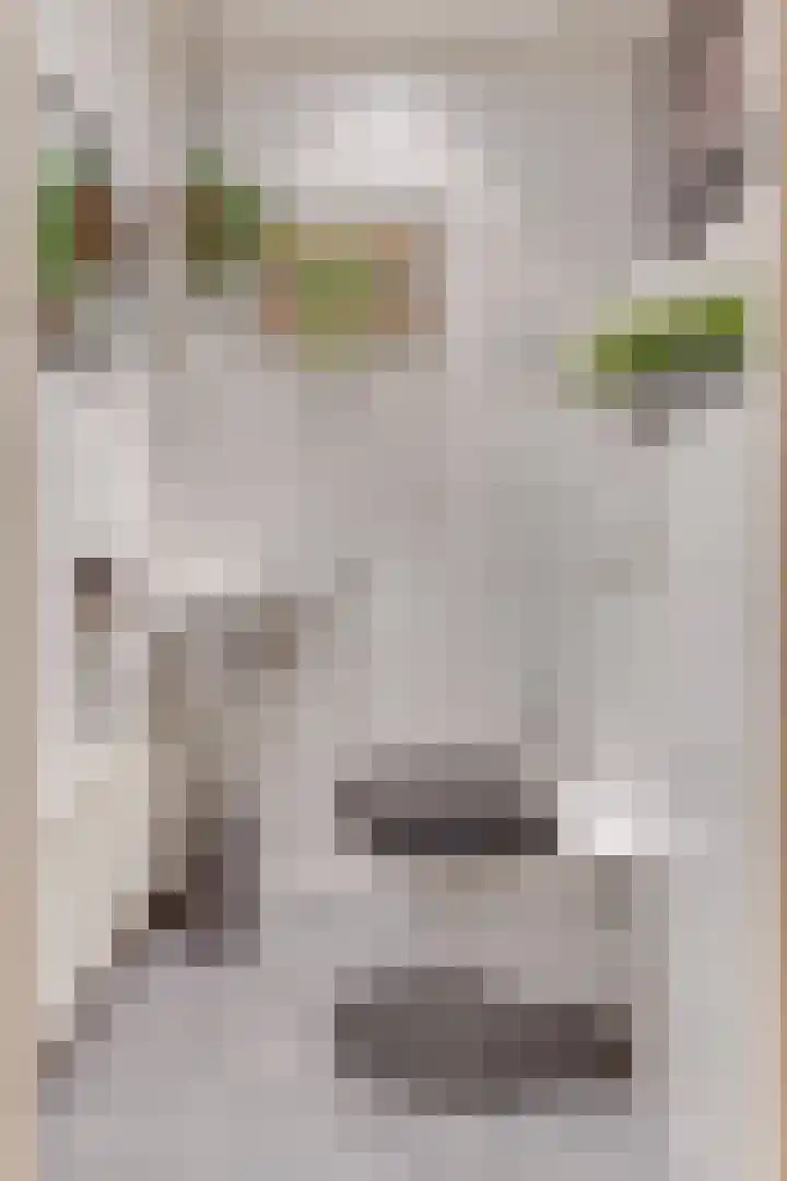 Dorpsstraat 222 Warmenhuizen thumbnail 34