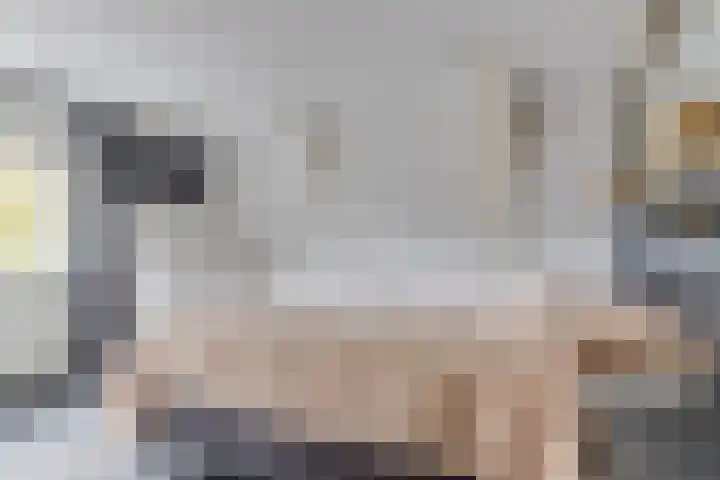 Dorpsstraat 222 Warmenhuizen thumbnail 36