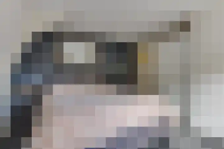 Dorpsstraat 222 Warmenhuizen thumbnail 38