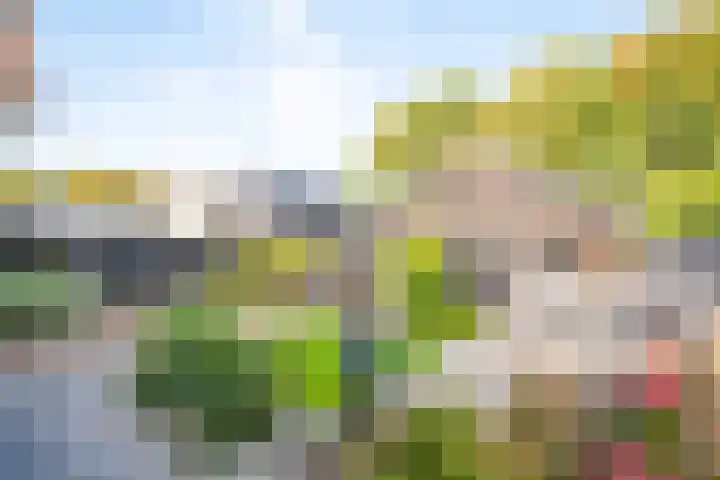 Dorpsstraat 222 Warmenhuizen thumbnail 4