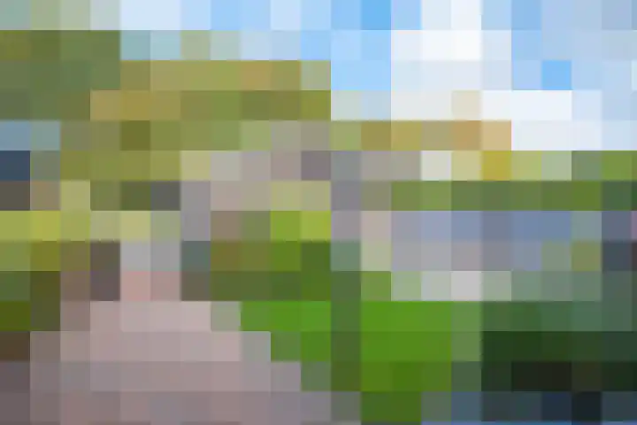 Dorpsstraat 222 Warmenhuizen thumbnail 52