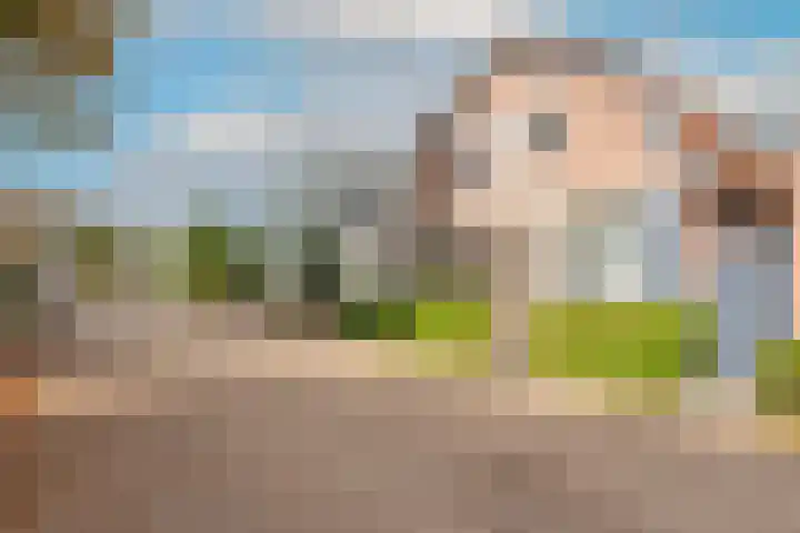 Dorpsstraat 222 Warmenhuizen thumbnail 6