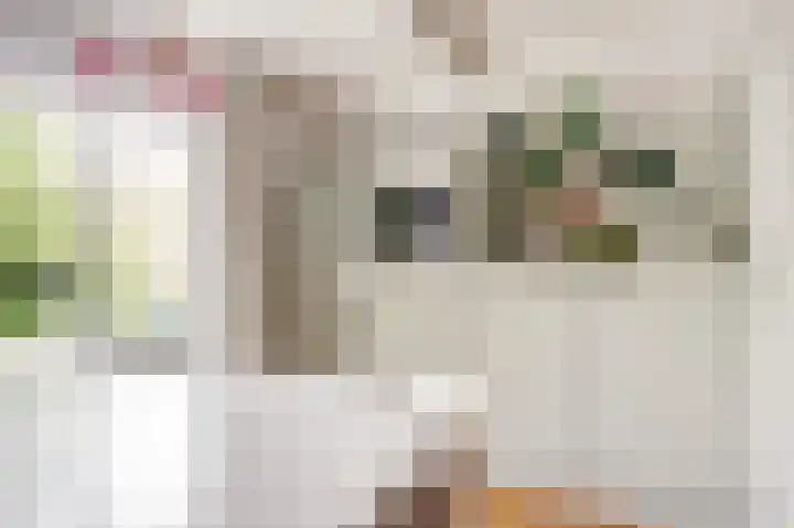 Dorpsstraat 224 Wervershoof thumbnail 6