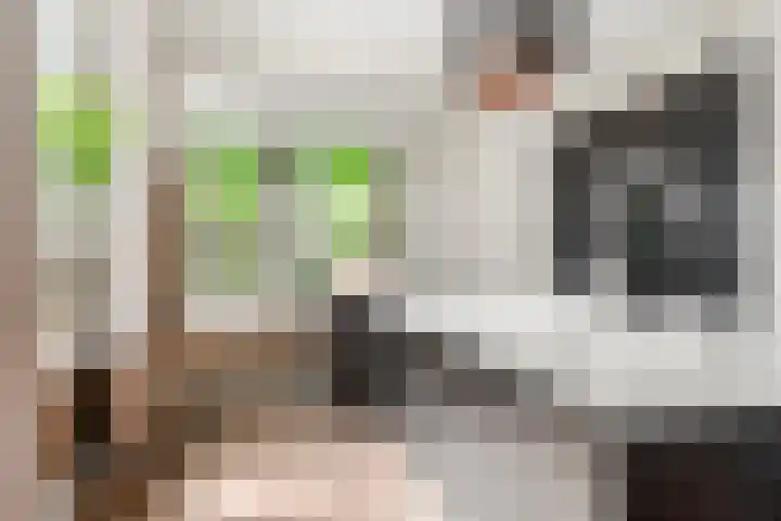 Dorpsstraat 225 Lunteren thumbnail 13