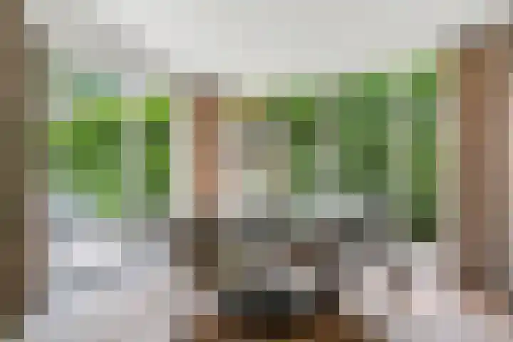 Dorpsstraat 225 Lunteren thumbnail 16