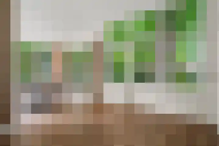 Dorpsstraat 225 Lunteren thumbnail 19