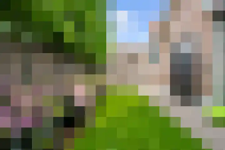 Dorpsstraat 225 Lunteren thumbnail 58
