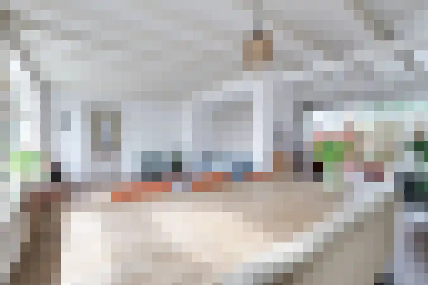 Dorpsstraat 226 Obdam thumbnail 17