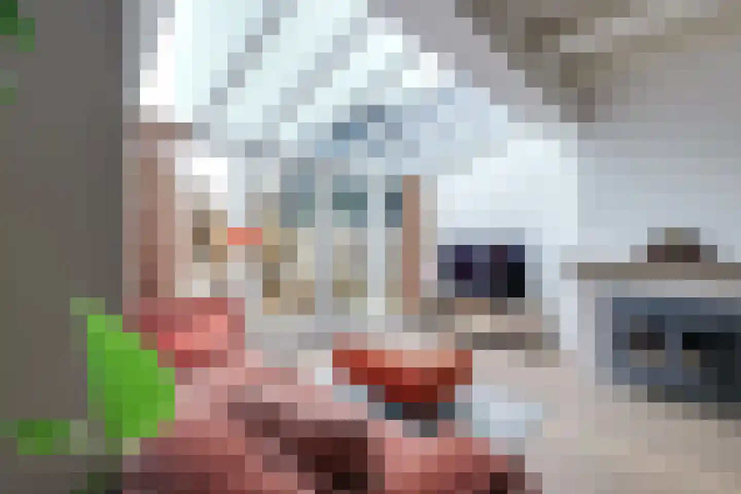 Dorpsstraat 226 Obdam thumbnail 20