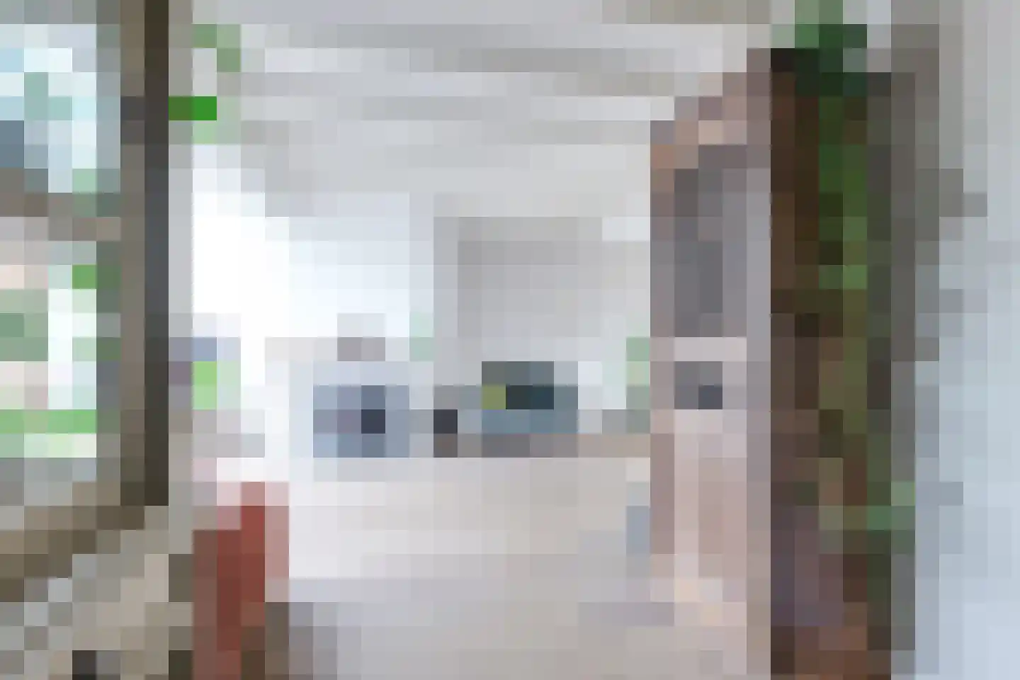 Dorpsstraat 226 Obdam thumbnail 26