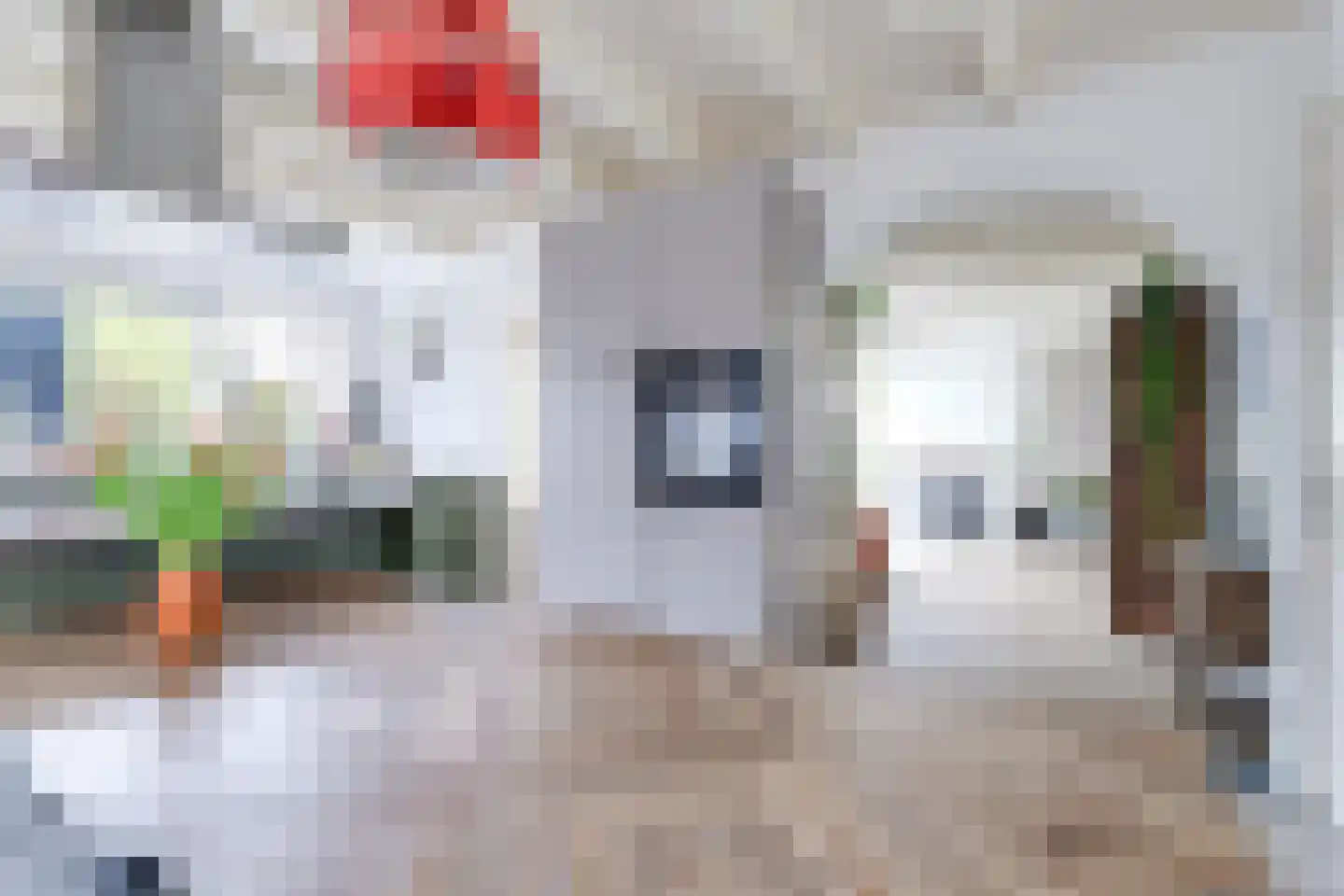 Dorpsstraat 226 Obdam thumbnail 30