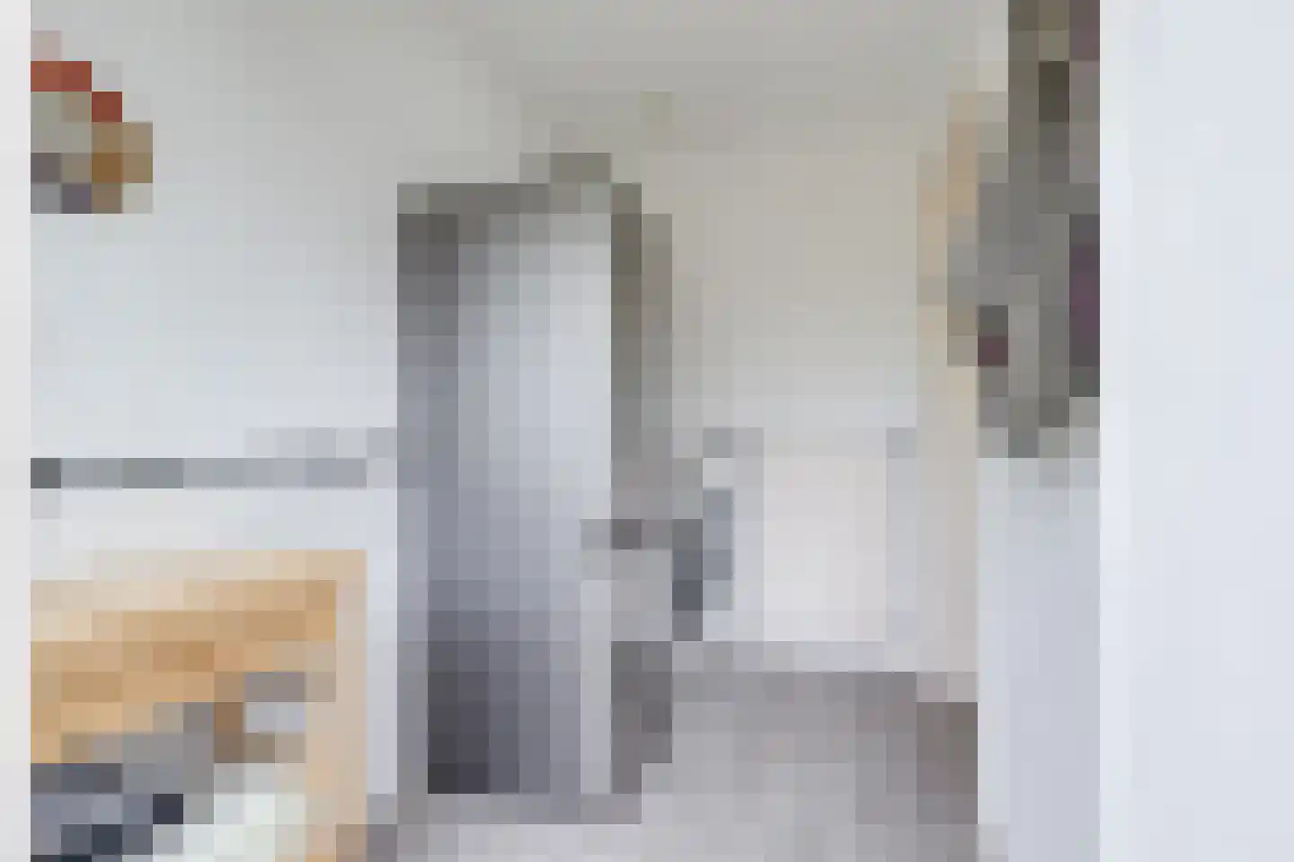 Dorpsstraat 226 Obdam thumbnail 37