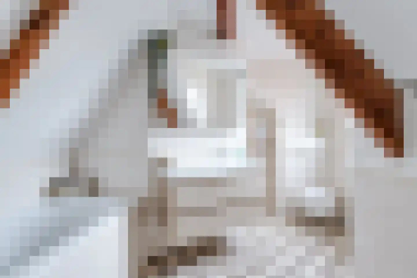 Dorpsstraat 226 Obdam thumbnail 46