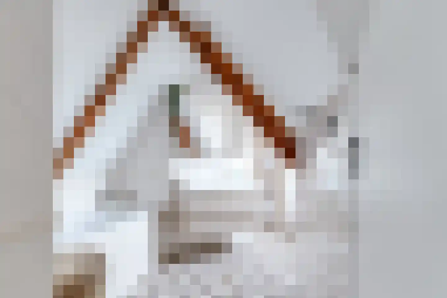 Dorpsstraat 226 Obdam thumbnail 46