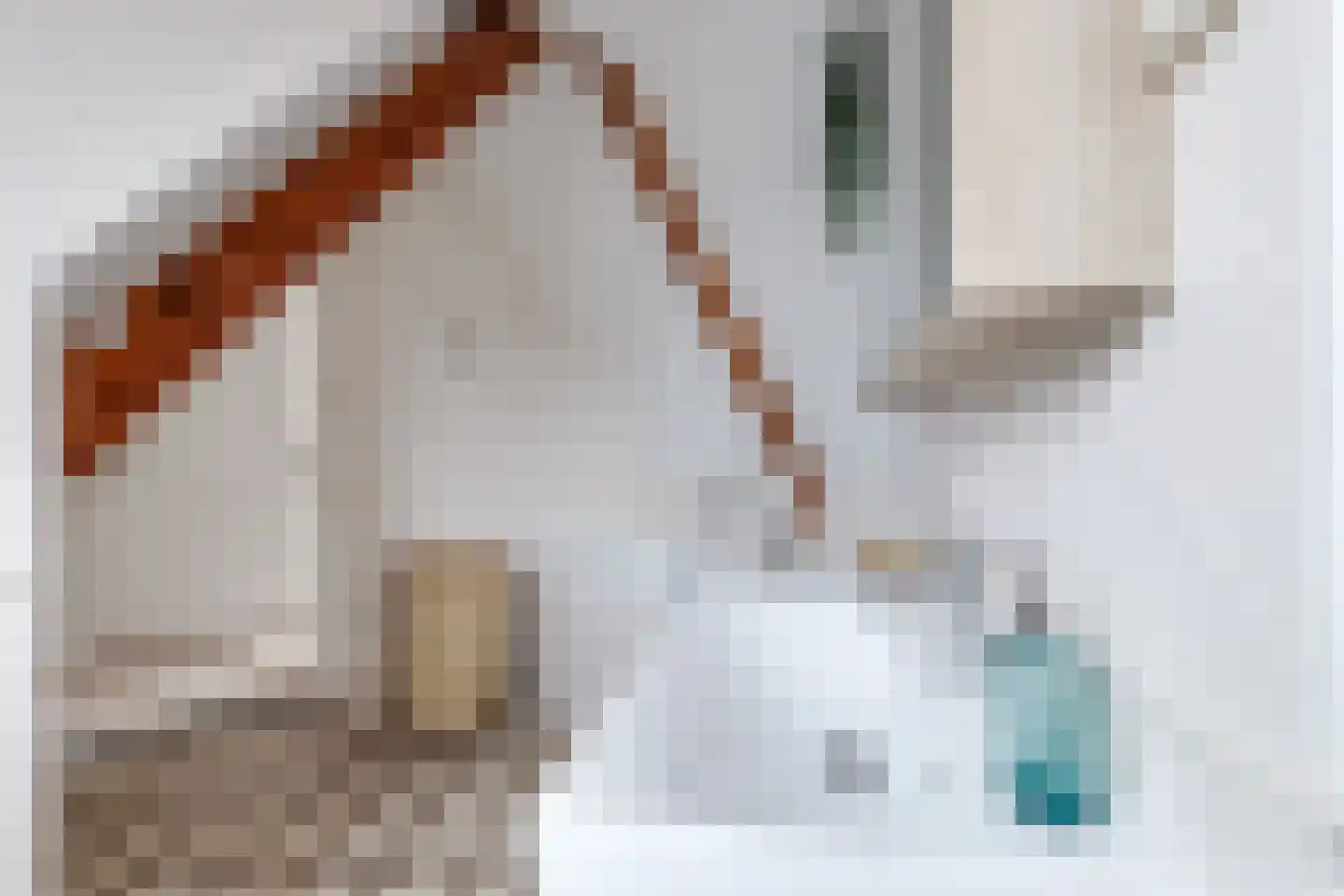 Dorpsstraat 226 Obdam thumbnail 51