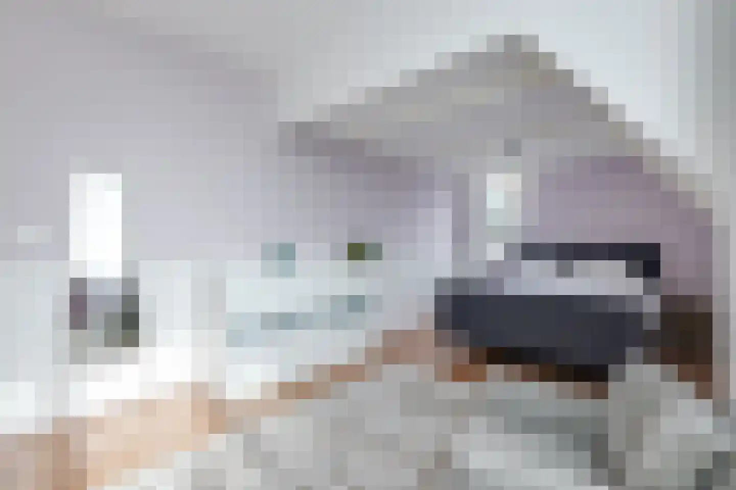 Dorpsstraat 226 Obdam thumbnail 64